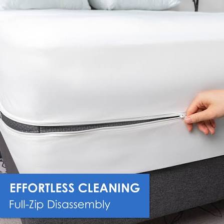 images - 2026-01-08T072813.636